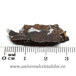 Meteorit Sericho Pallasite