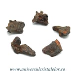 Meteorit Sericho Pallasite