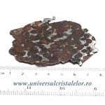 Meteorit Sericho Pallasite