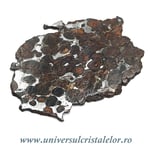 Meteorit Sericho Pallasite