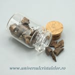 Sticluta Meteorit Condrit