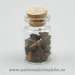 Sticluta Meteorit Condrit