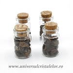 Sticluta Meteorit Condrit