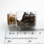 Sticluta Meteorit Condrit