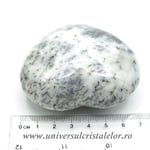 Inima agat dendritic