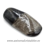 Piatra Vaticanului piatra rulata m1