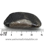 Piatra Vaticanului piatra rulata m3