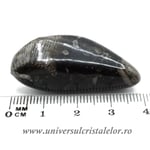 Piatra Vaticanului piatra rulata m5