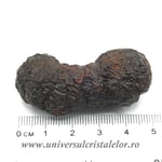 Piatra Profetiei (Piatra profetului)