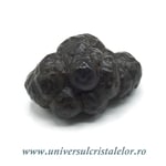 Piatra Profetiei (Piatra profetului)