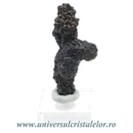 Piatra Profetiei (Piatra profetului)