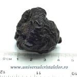 Piatra Profetiei (Piatra profetului)