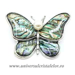 Brosa pandantiv abalone - fluture
