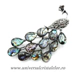 Brosa pandantiv abalone - paun