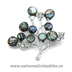 Brosa pandantiv abalone - pomisor