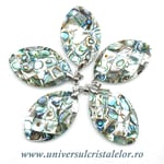 Pandantiv scoica paua