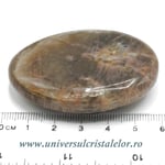 Piatra lunii polisata
