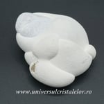 Piatra Zanelor ( menilit )