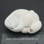 Piatra Zanelor ( menilit )