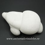 Piatra Zanelor ( menilit )