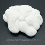 Piatra Zanelor ( menilit )