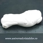 Piatra Zanelor ( menilit )