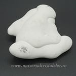 Piatra Zanelor ( menilit )