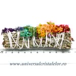 Salvie alba cu flori Verbasco7 chakre