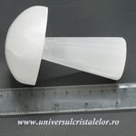 Selenit ciuperca alb 10 cm