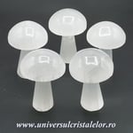 Selenit ciuperca alb 10 cm