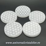 Selenit suport floarea vietii