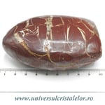 Sculptura septaria rosie