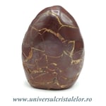 Sculptura septaria rosie