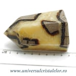 Septaria varf cu baza