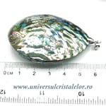 Pandantiv scoica paua dublat