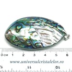 Pandantiv scoica paua