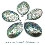 Pandantiv scoica paua