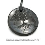 Pandantiv shungit pomul vietii