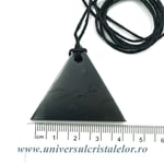 Pandantiv shungit triunghi (male)