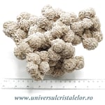 Trandafirul desertului