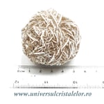 Trandafirul desertului