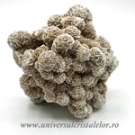 Trandafirul desertului