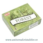 Conuri parfumate forest (padure)