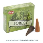 Conuri parfumate forest (padure)