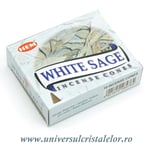 Conuri parfumate salvie alba