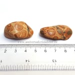 Jasp leopard piatra rulata