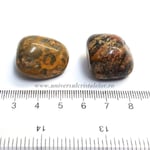 Jasp piele leopard piatra rulata