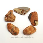 Jasp leopard piatra rulata