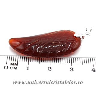 Pandantiv carneol aripa m1