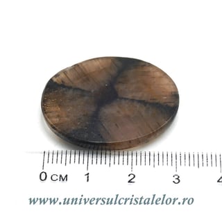 Cabochon chiastolit